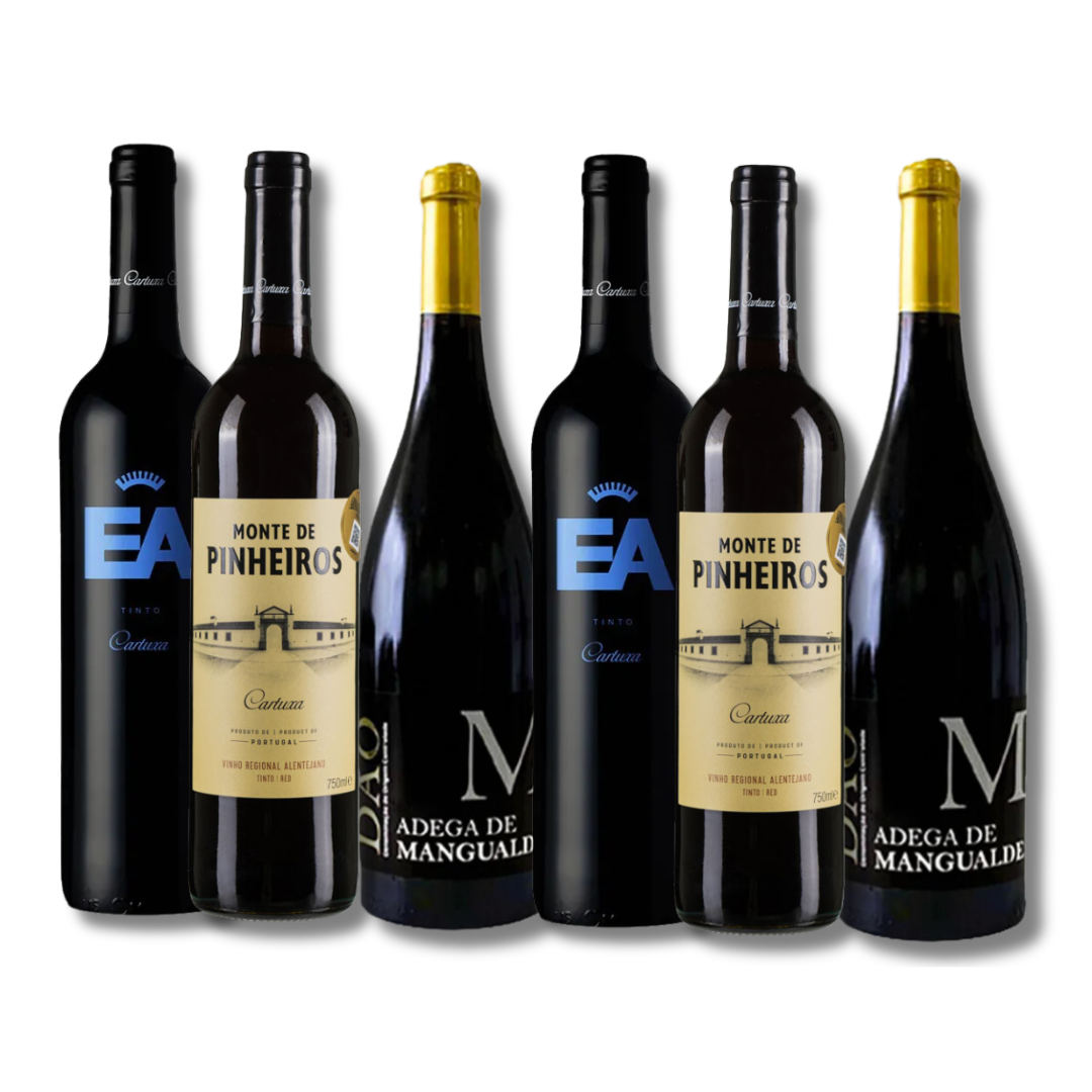 Kit vinhos portugueses